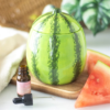 Watermelon Shaped Ceramic Oil Burner and Wax Warmer