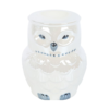 Owl Shaped Ceramic Iridescent Oil Burner and Wax Warmer